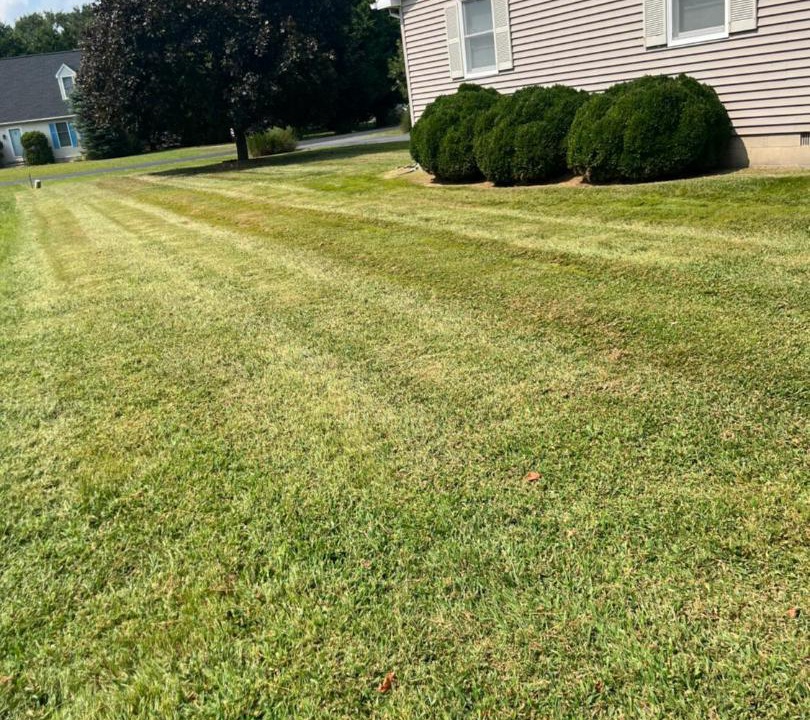 Photo of Others in Maplewood