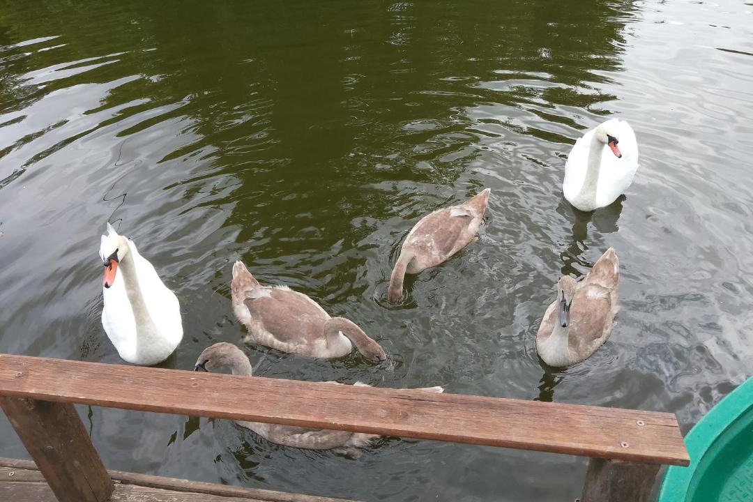 Photo of Others in Fechain