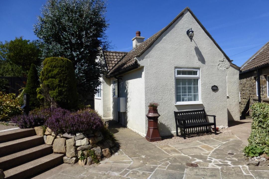 Photo of Others in Scarborough