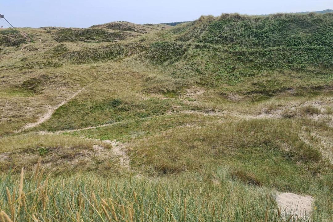 Photo of Others in Skagen