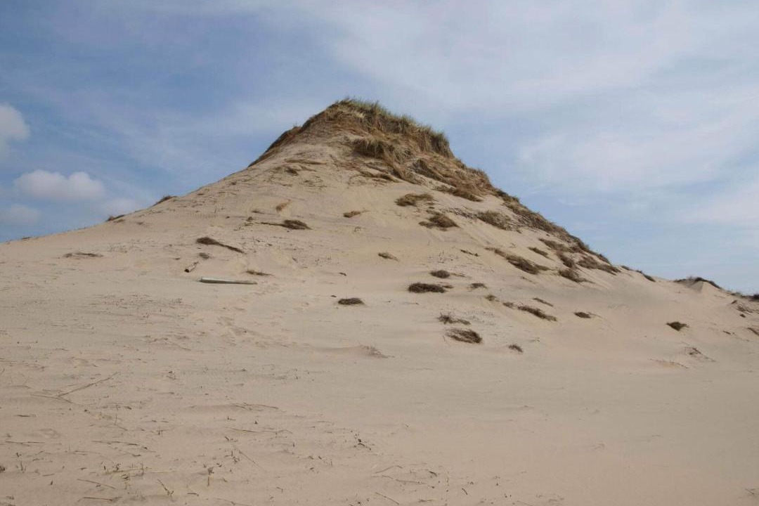 Photo of Others in Skagen