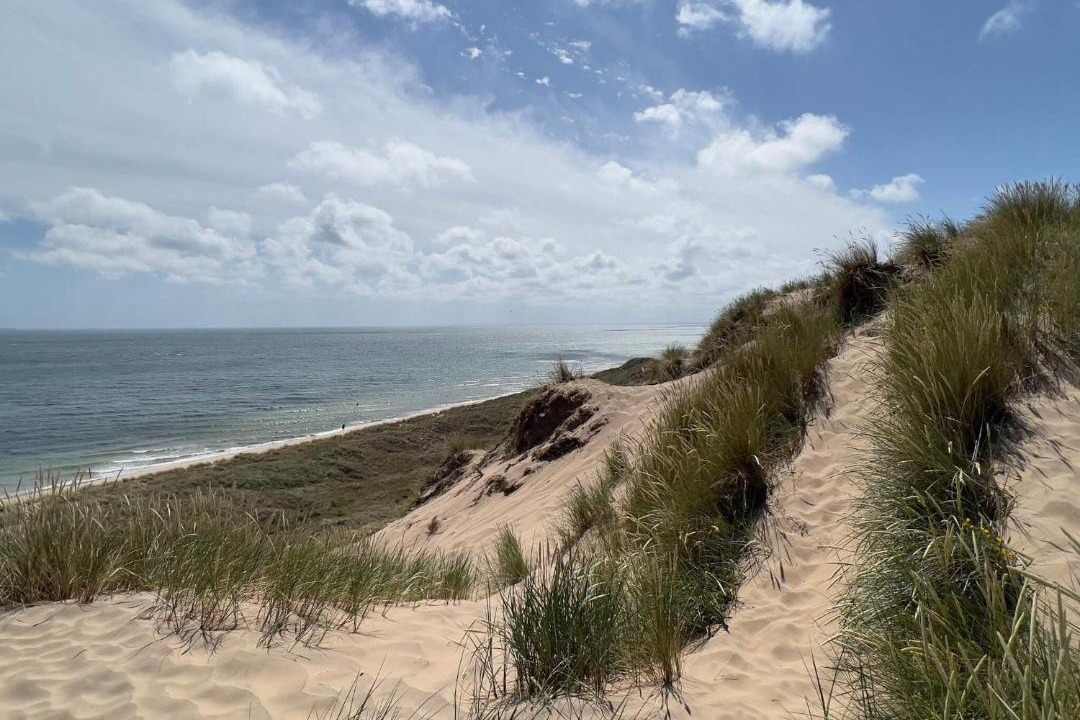 Photo of Others in Skagen