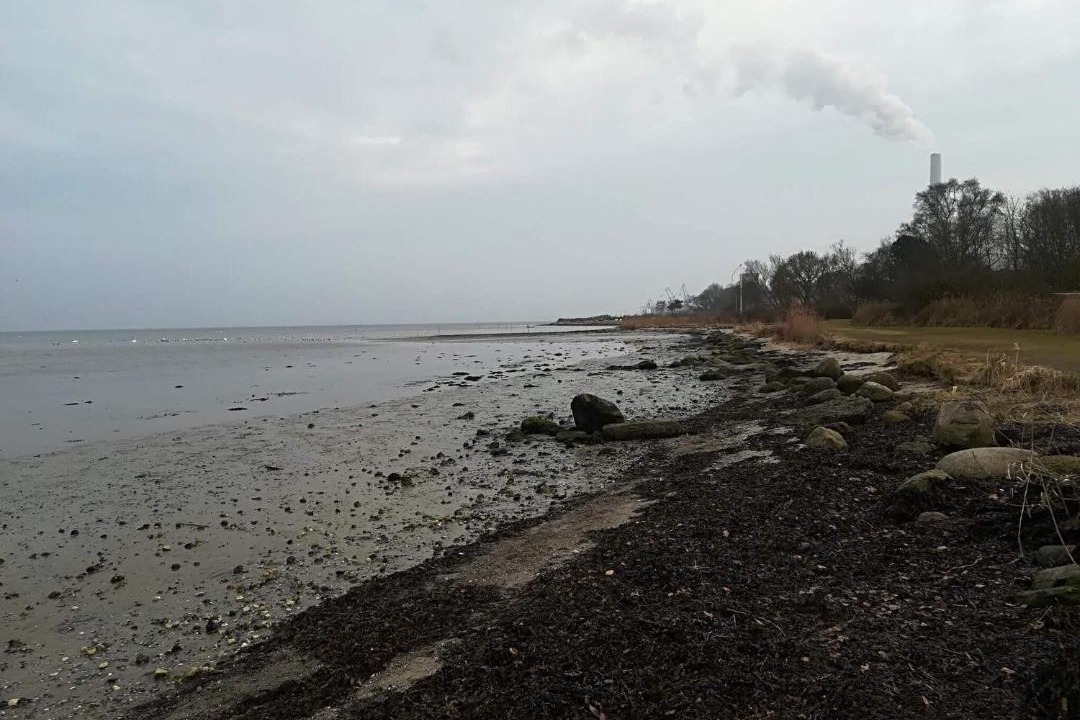 Photo of Others in Skæring