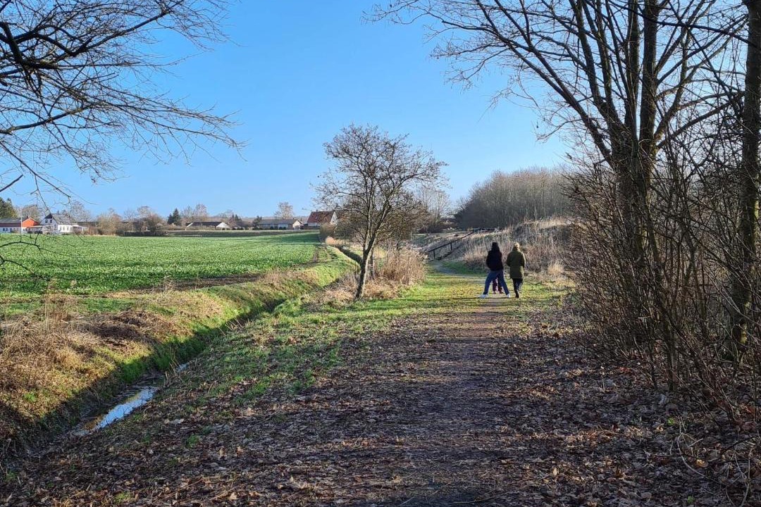Photo of Others in Holeby