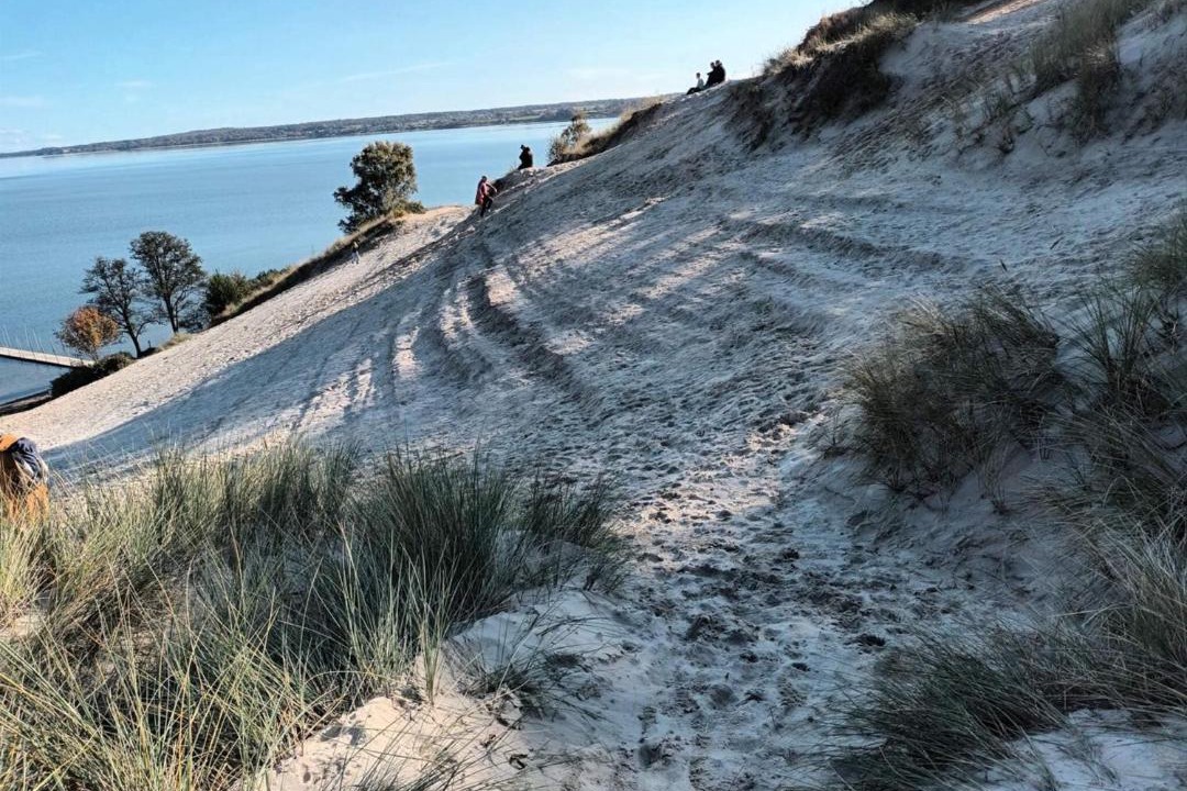 Photo of Others in Hvidbjerg Strand