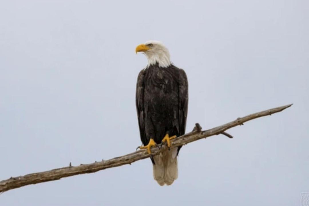 Photo of Others in St. Joseph