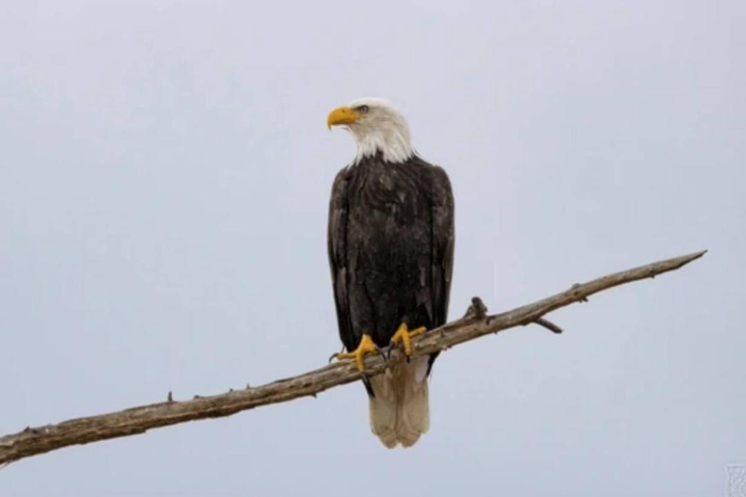 Photo of Others in St. Joseph