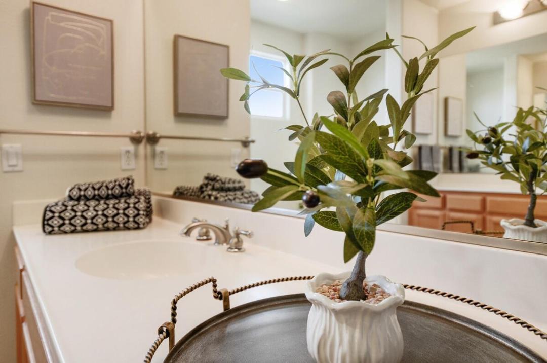 Photo of Others in Windsor