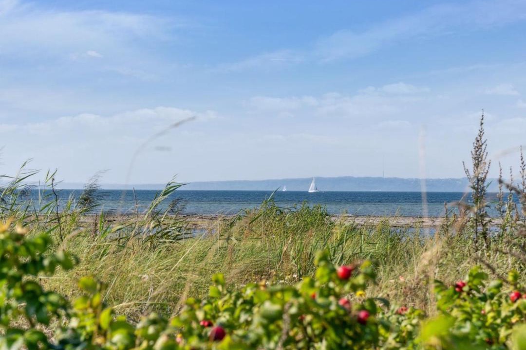 Photo of Others in Skødshoved Strand