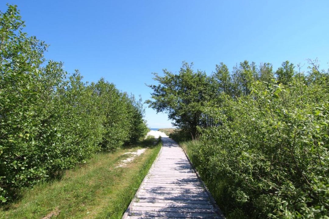 Photo of Others in Dueodde
