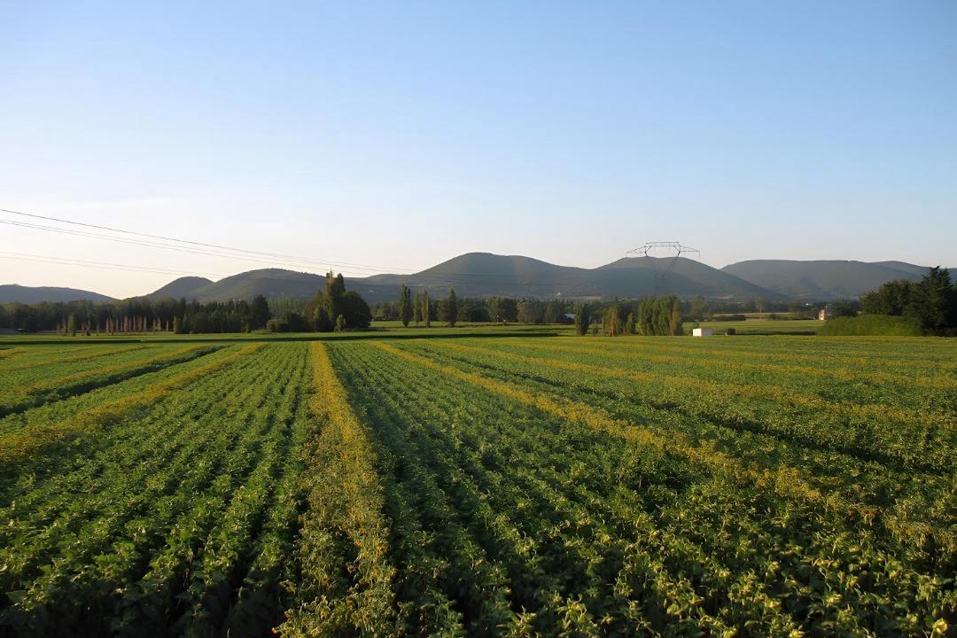 Photo of Others in Sauzet