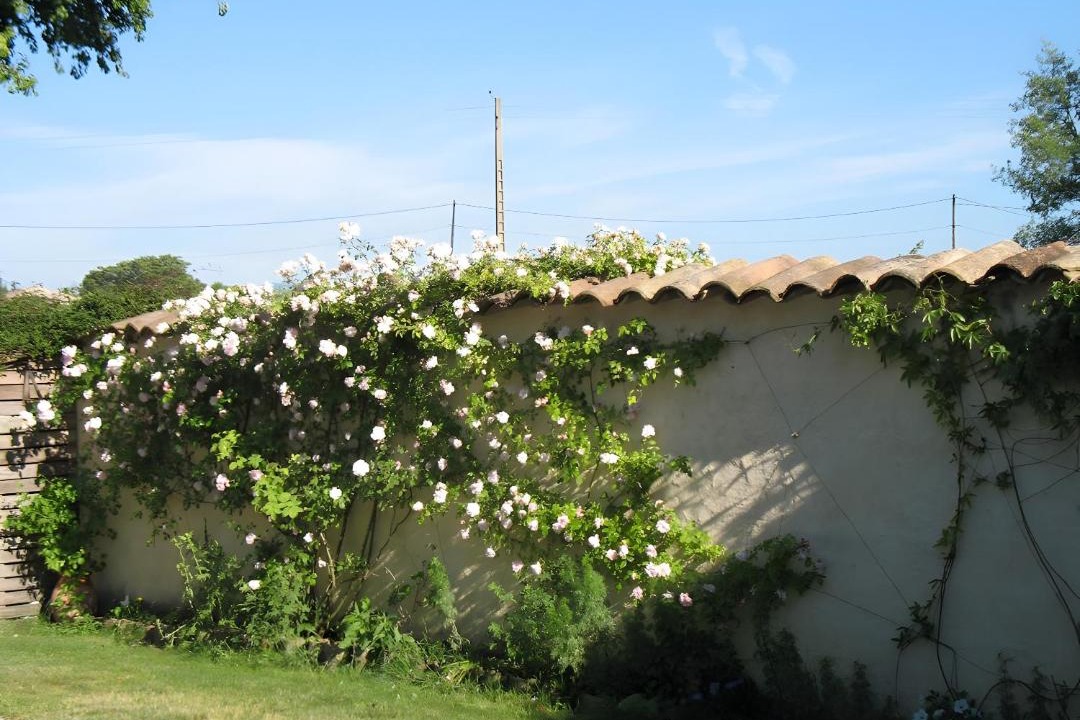 Photo of Others in Sauzet