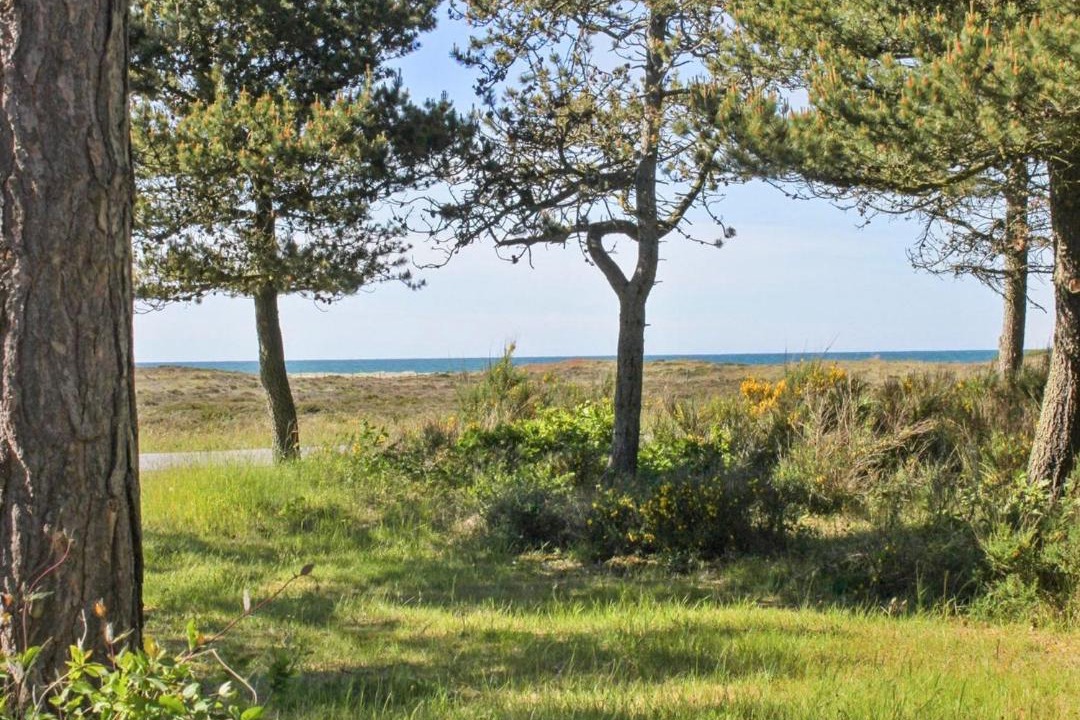 Photo of Others in Læsø