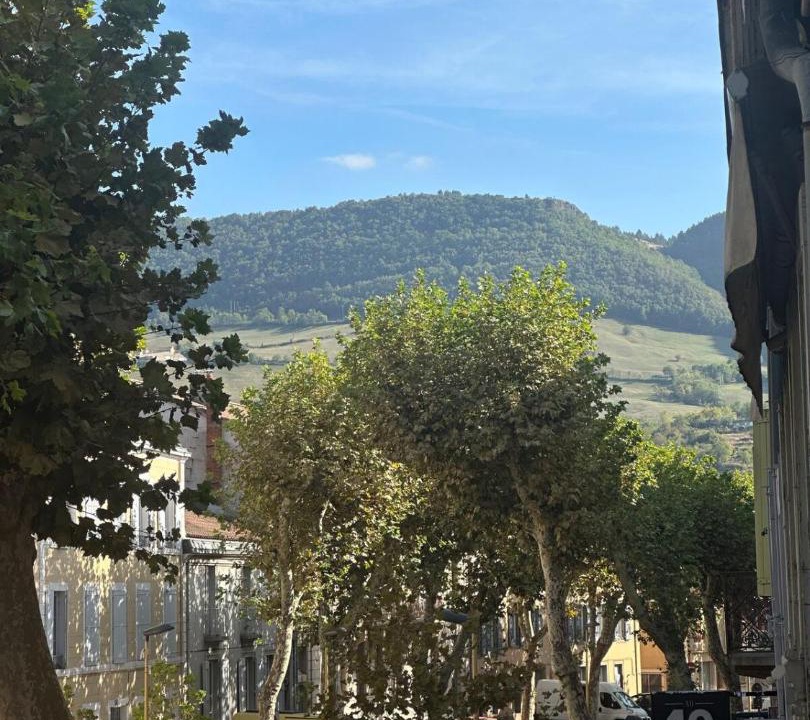 Photo of Others in Millau