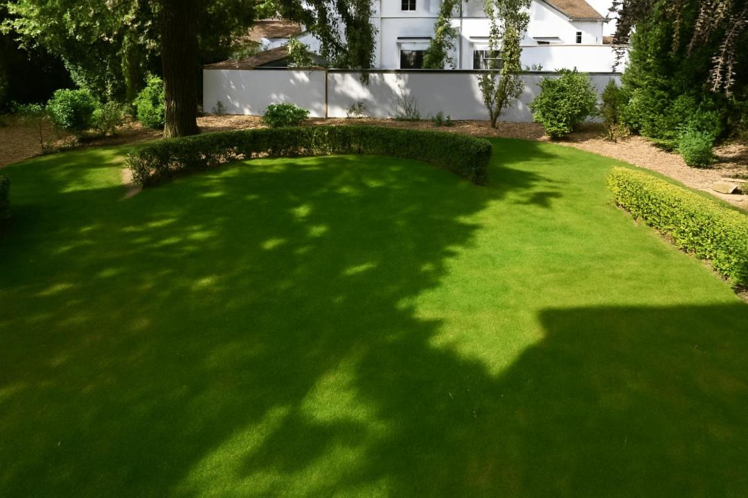 Photo of Others in Le Loroux-Bottereau