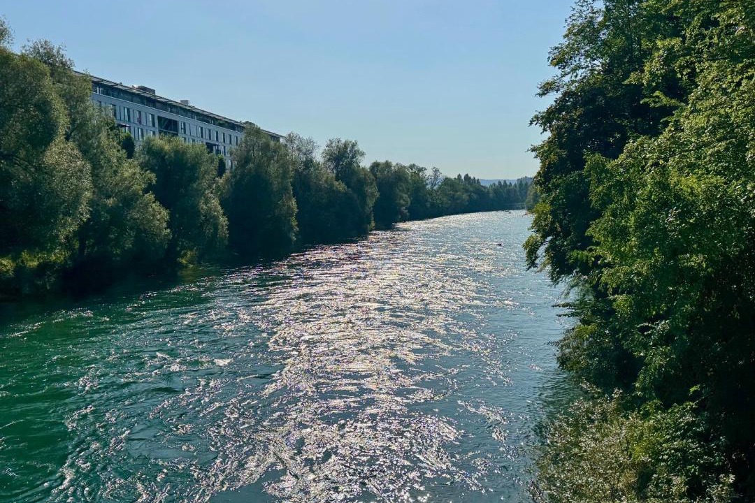 Photo of Others in Wipkingen