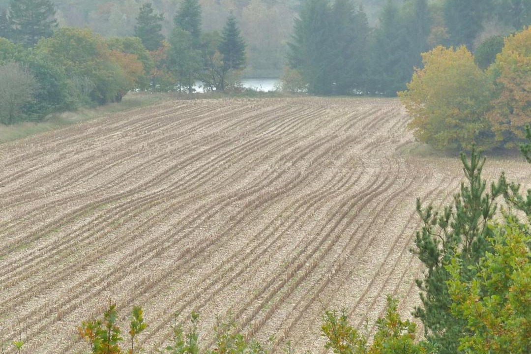 Photo of Others in Bryrup