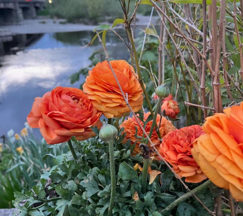 Photo of Others in Glasbury