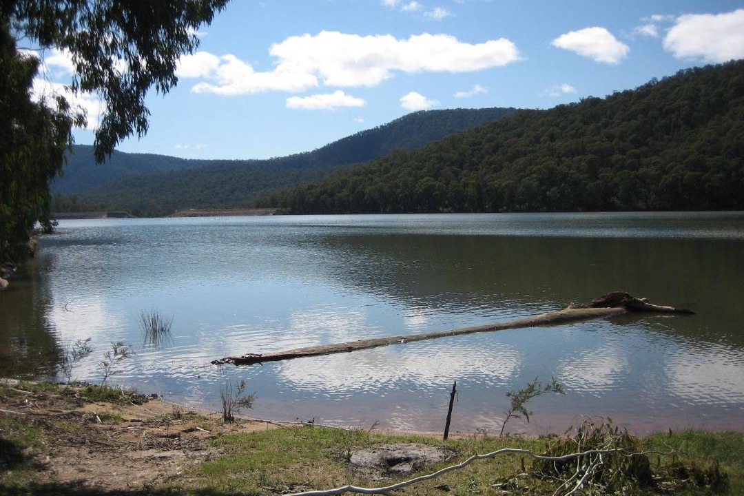 Photo of Others in Whitfield