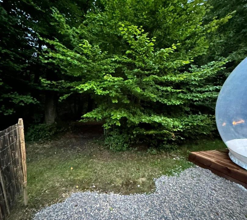 Photo of Others in Montenois