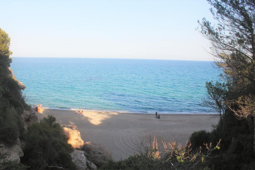 Photo of Others in Miami Platja