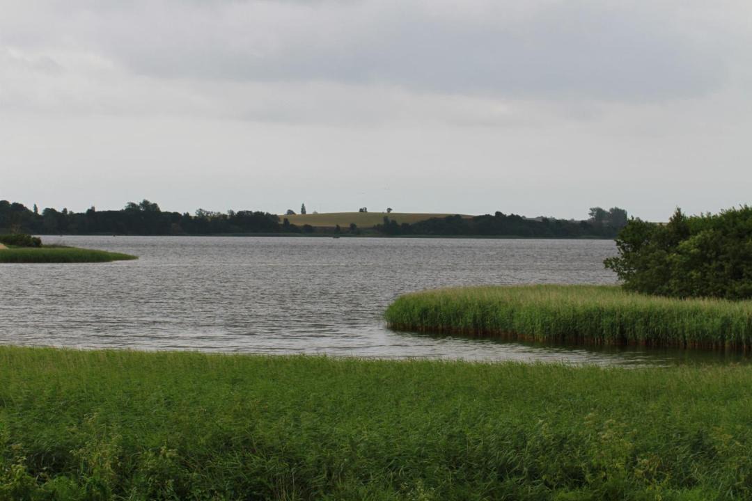 Photo of Others in Stege