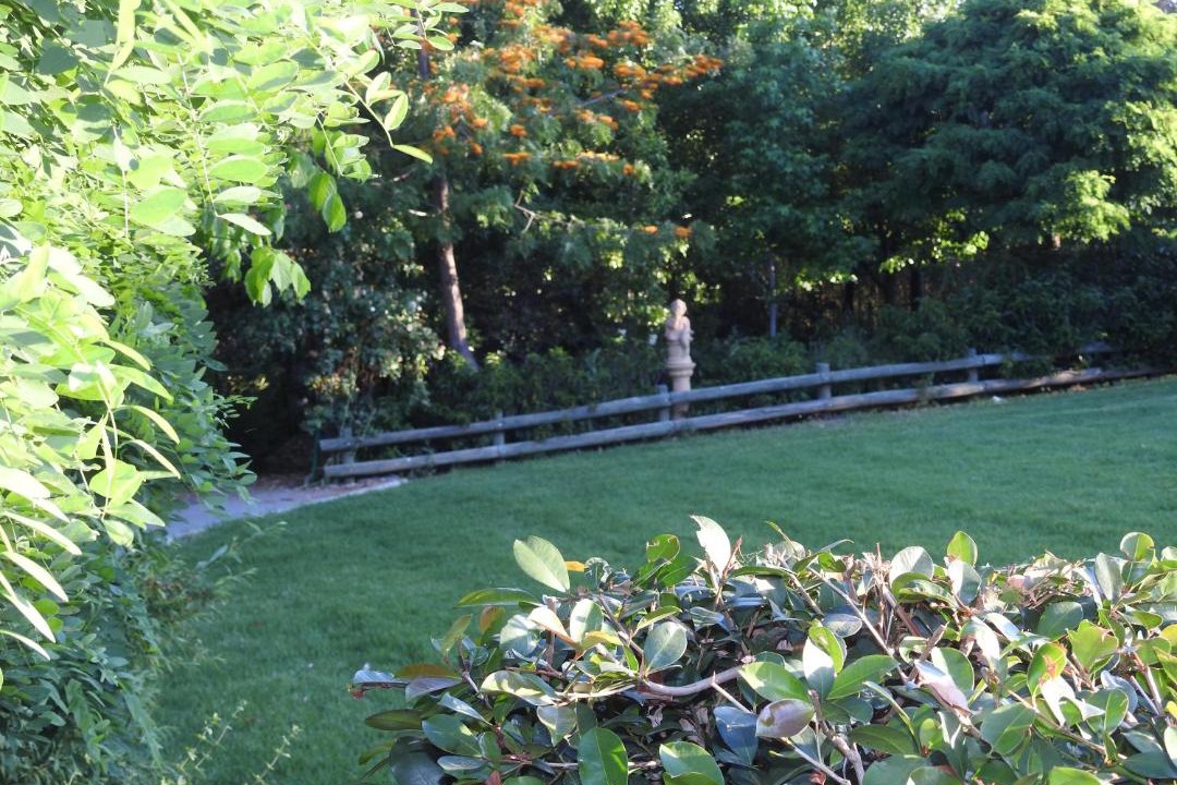 Photo of Others in Rutherglen