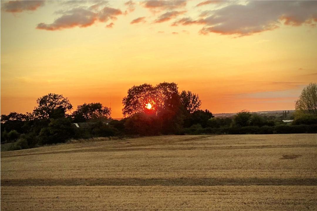 Photo of Others in Bicester