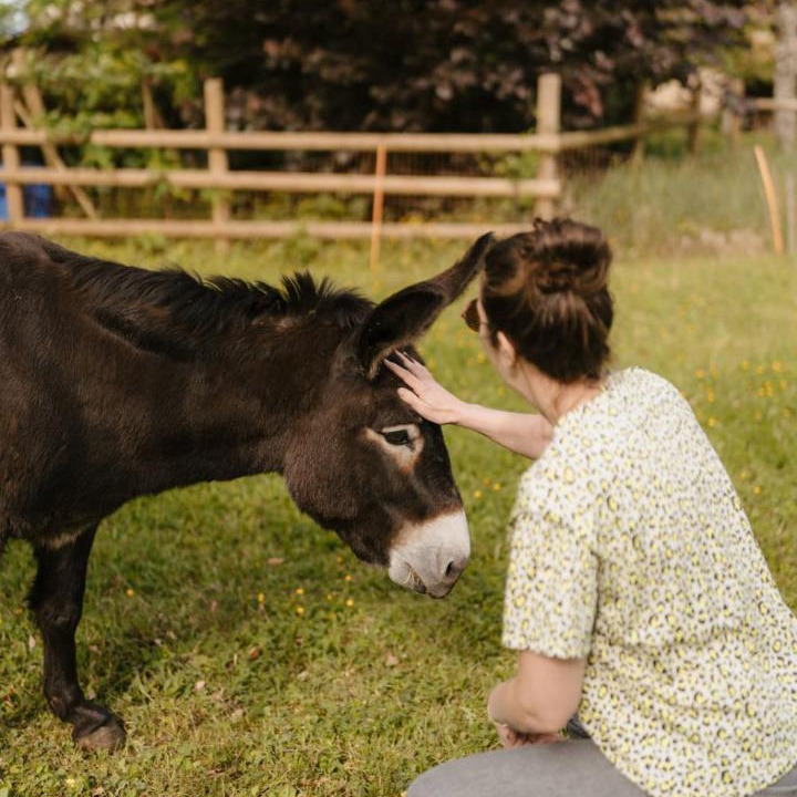 Photo of Others in Monnieres