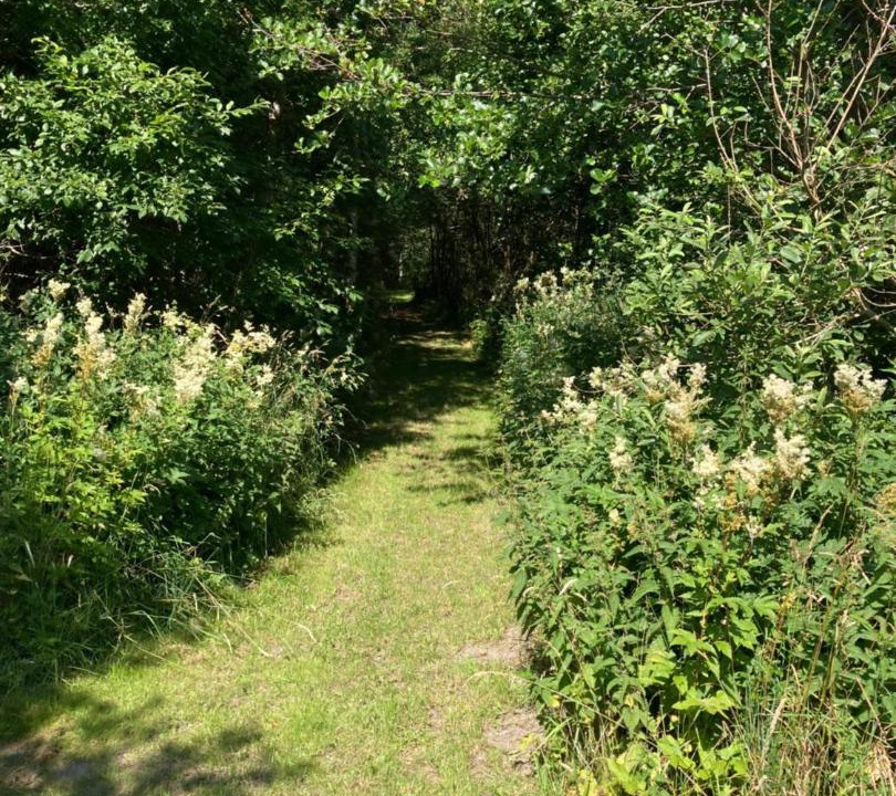 Photo of Outdoor in Frederikshavn
