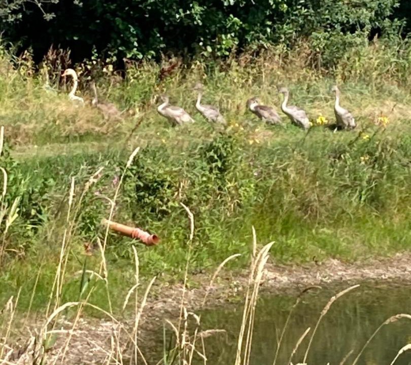 Photo of Others in Frederikshavn