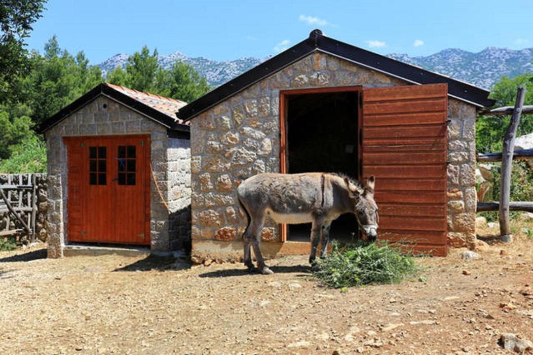 Photo of Buildings in Seline