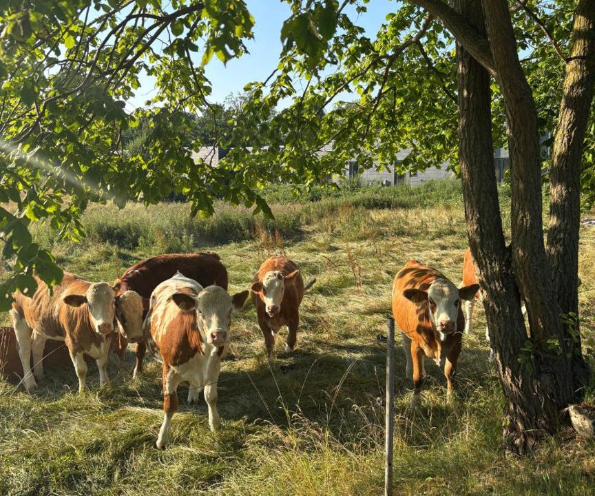 Photo of Others in Kalundborg