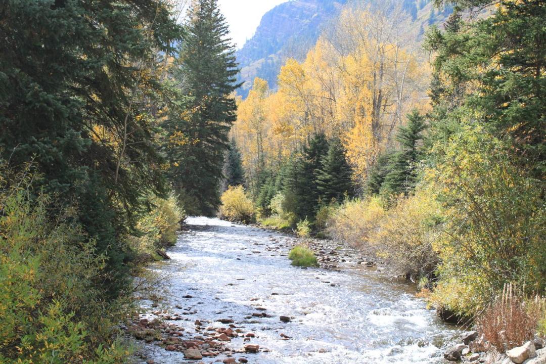 Photo of Others in River Run