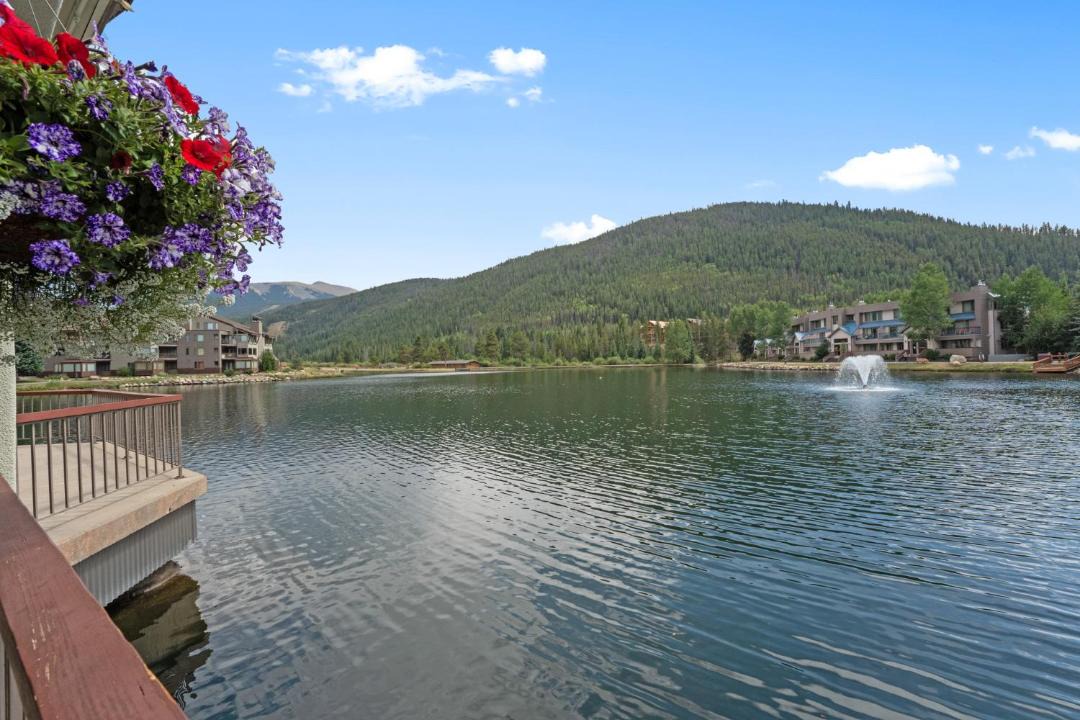 Photo of Others in Lakeside Village
