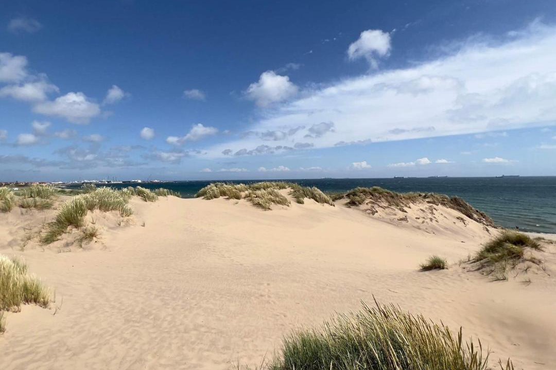 Photo of Others in Skagen