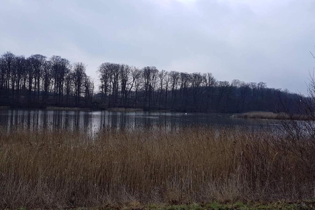 Photo of Others in Svendborg