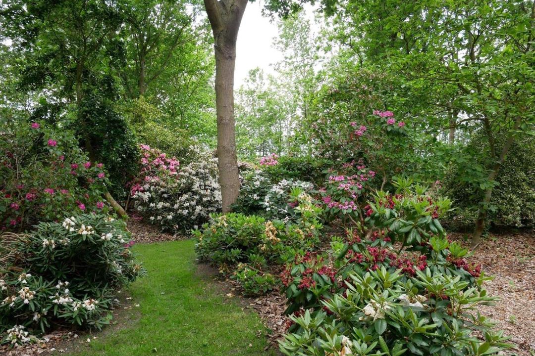 Photo of Others in Nakskov