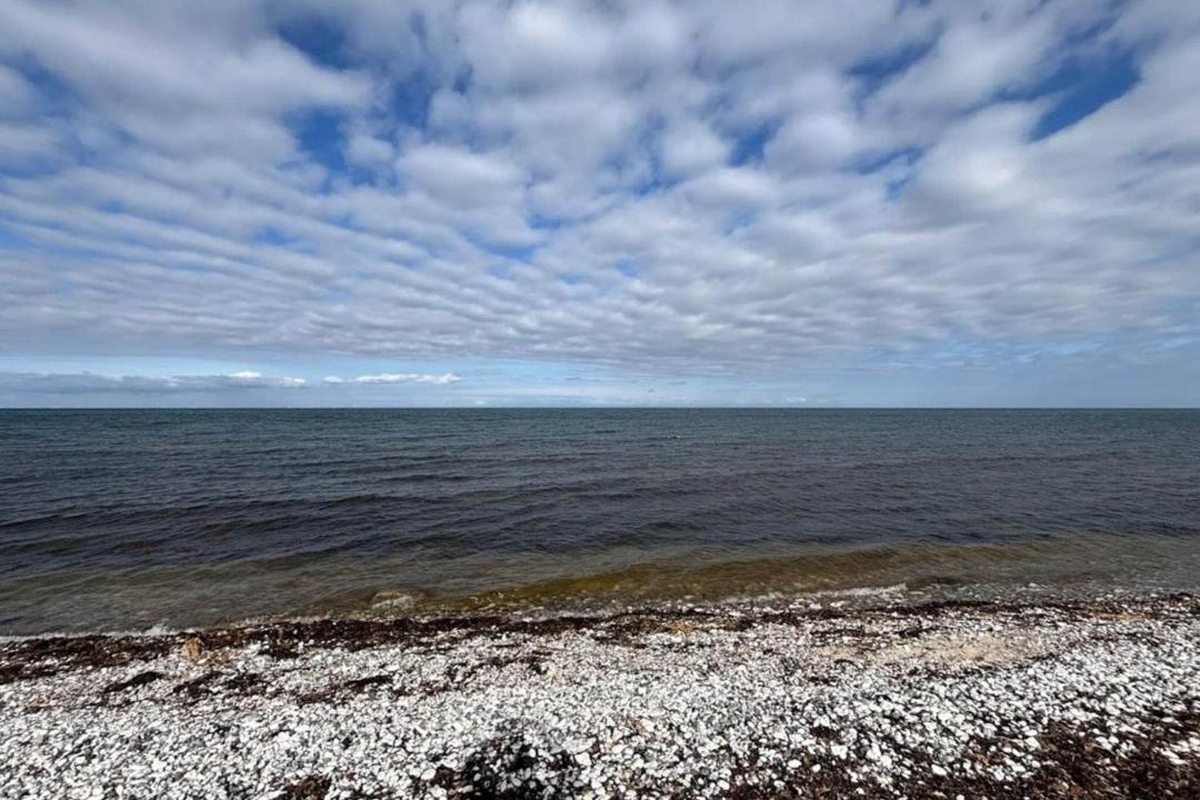 Photo of Others in Grena Strand