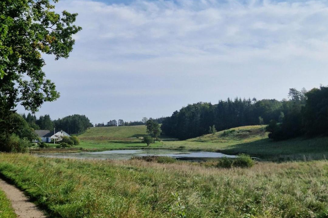 Photo of Others in Femmøller
