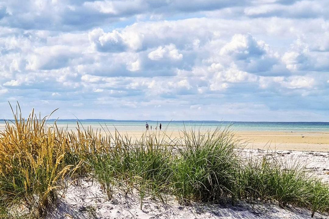 Photo of Others in Bønnerup Strand