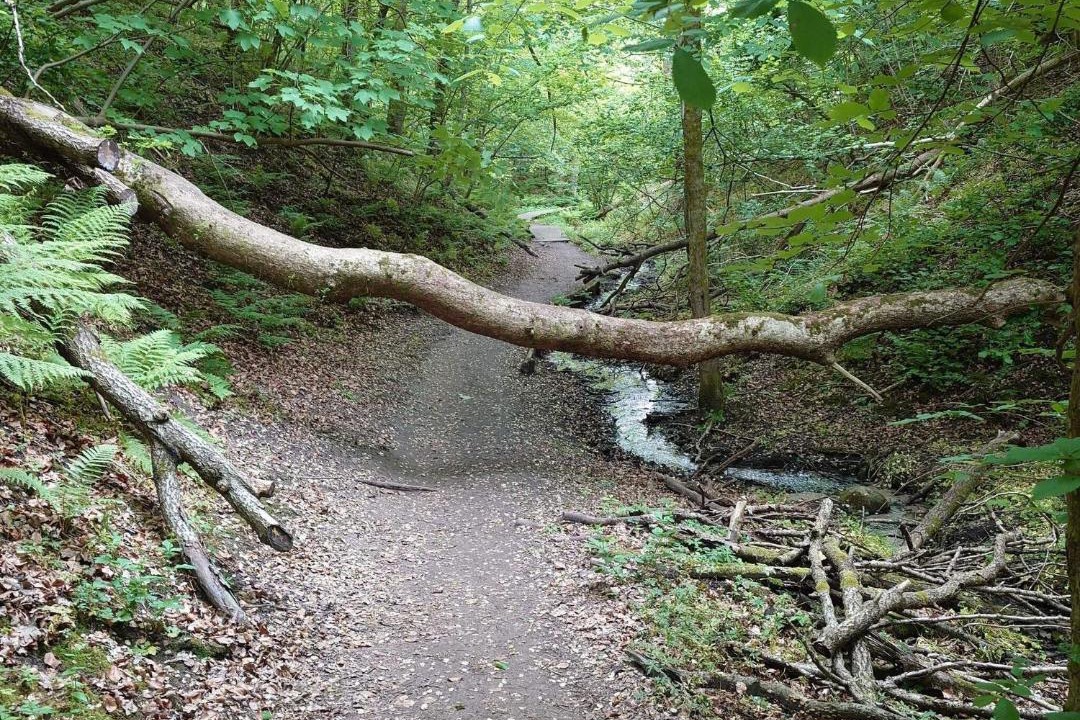 Photo of Others in Brovst