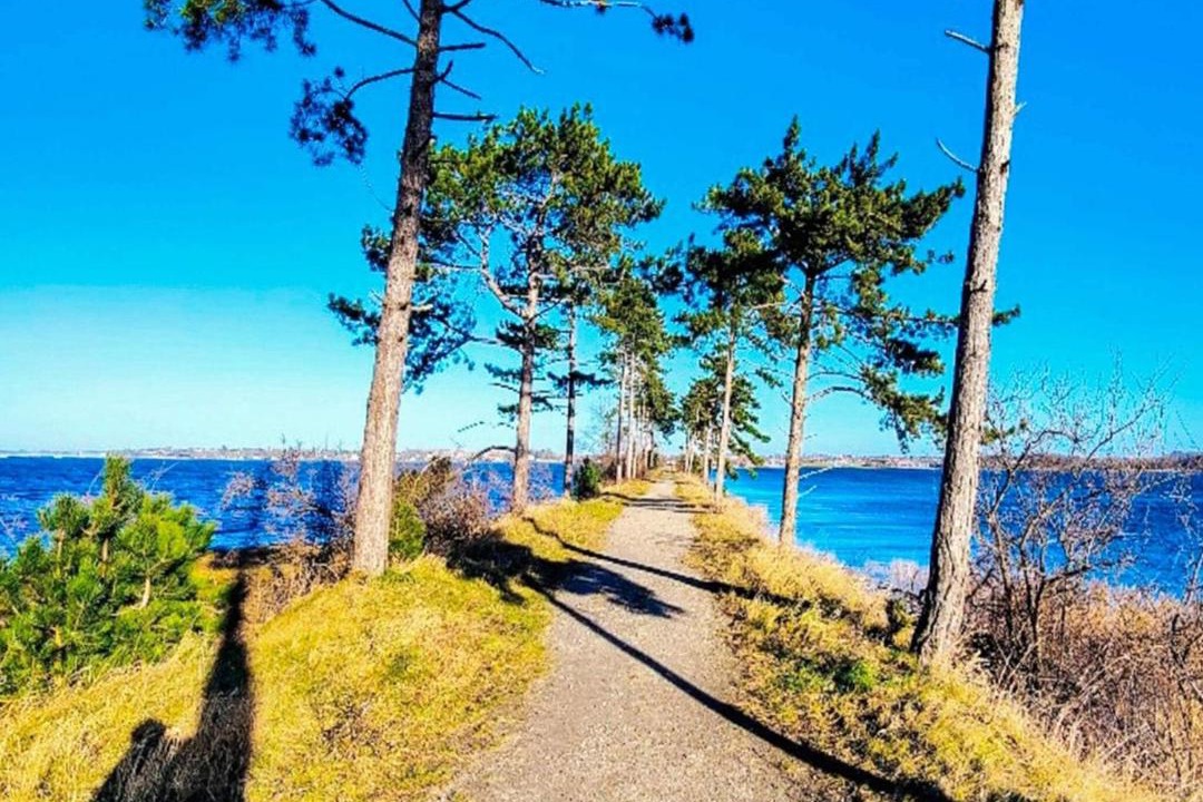 Photo of Others in Jægerspris