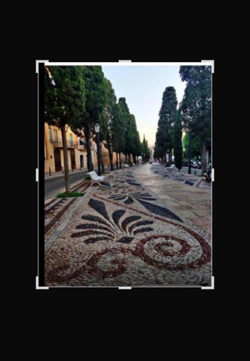 Photo of Others in Tarragona