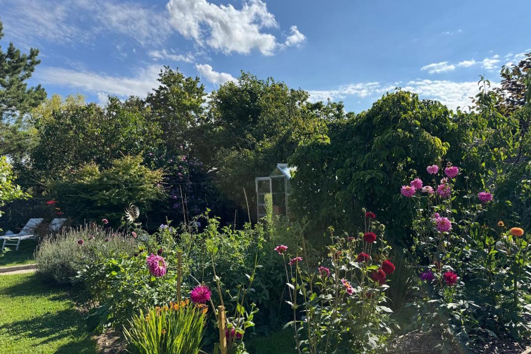 Photo of Others in Tierceville