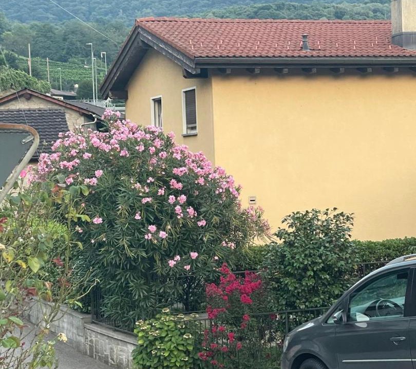 Photo of Others in Monteceneri