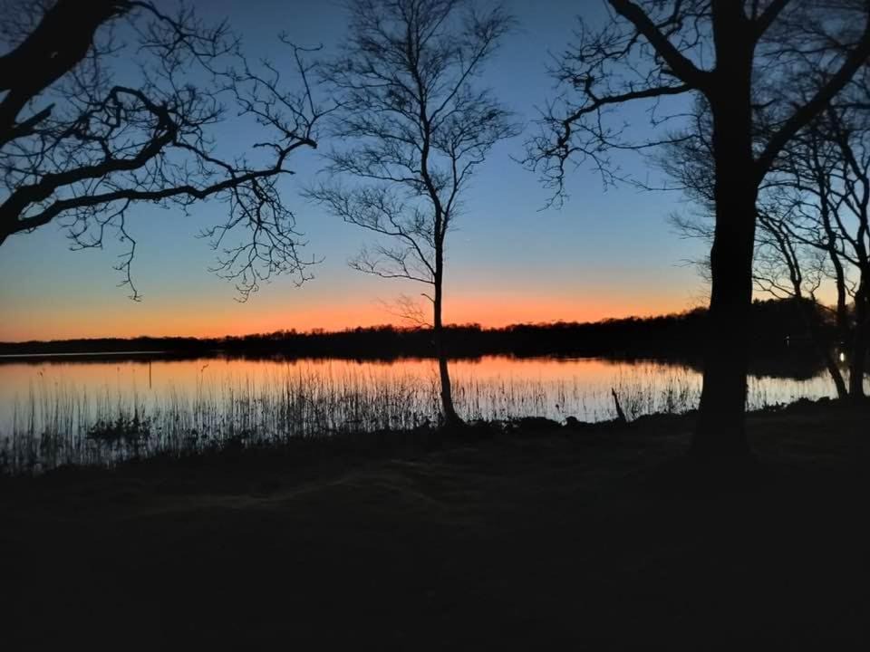 Photo of Others in Ansager