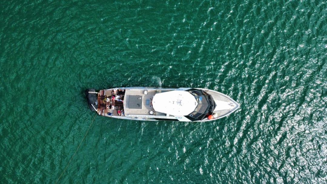 Photo of Others in Vannes