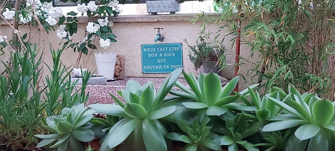 Photo of Others in Montreal