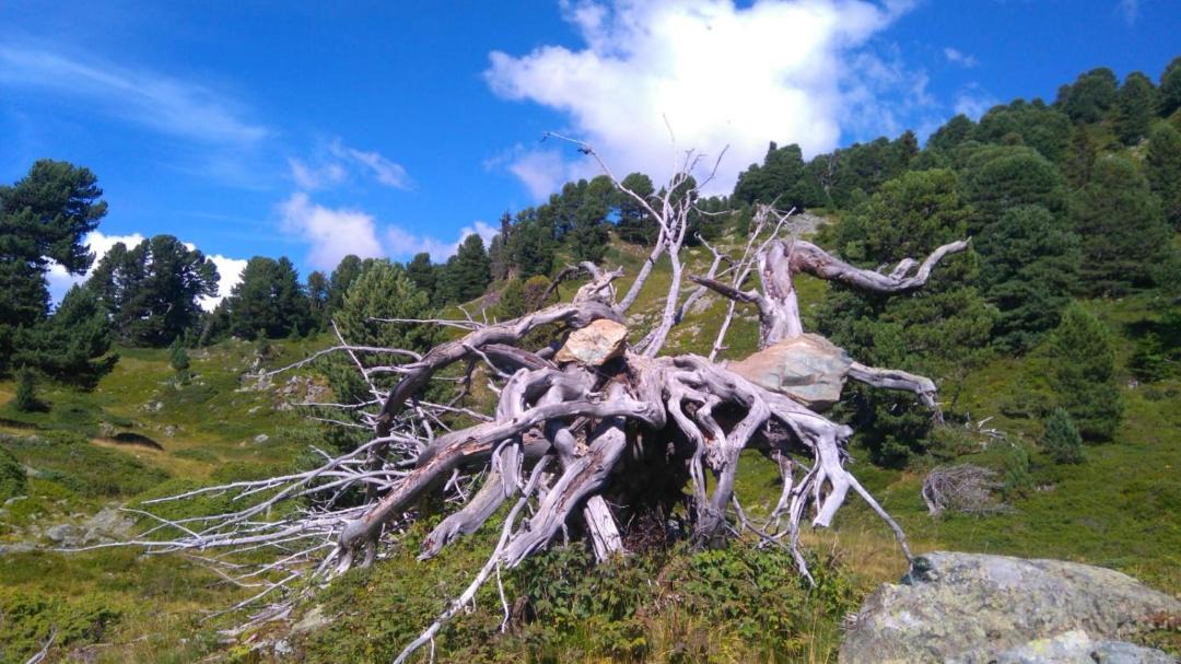 Photo of Others in Chamrousse
